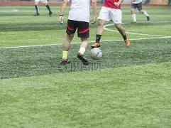 娱乐圈,副业之光,明星人生,大发彩票,大发彩票官网,dafa大发彩票官网,大发彩票官网玩家首选