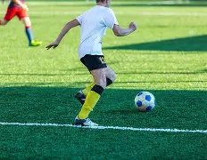 金鹰盛典主,持阵容揭晓,开幕式亮点,大发彩票,大发彩票官网,dafa大发彩票官网,大发彩票官网玩家首选