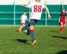 稳中求胜,期排列三独,家秘籍,大发彩票,大发彩票官网,dafa大发彩票官网,大发彩票官网玩家首选