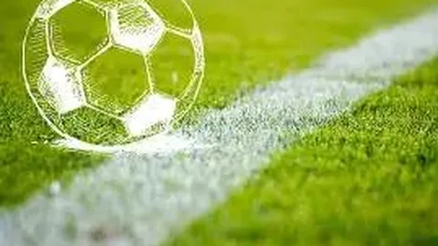 深圳国资首度并购重组启动，晶华电子加盟旗下