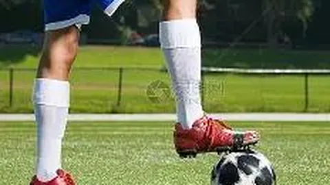 《遗憾未在巅峰时刻遇见你》歌曲《好可惜》演唱者揭秘及歌词欣赏