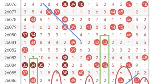 大乐透期号专家推荐分析：快乐826066期质合前区十码