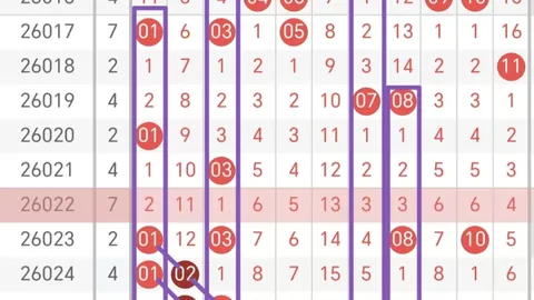 排列三第2026064期专家胆码形态分析及推荐