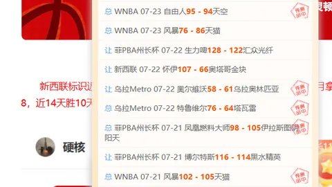 大发彩票 173209